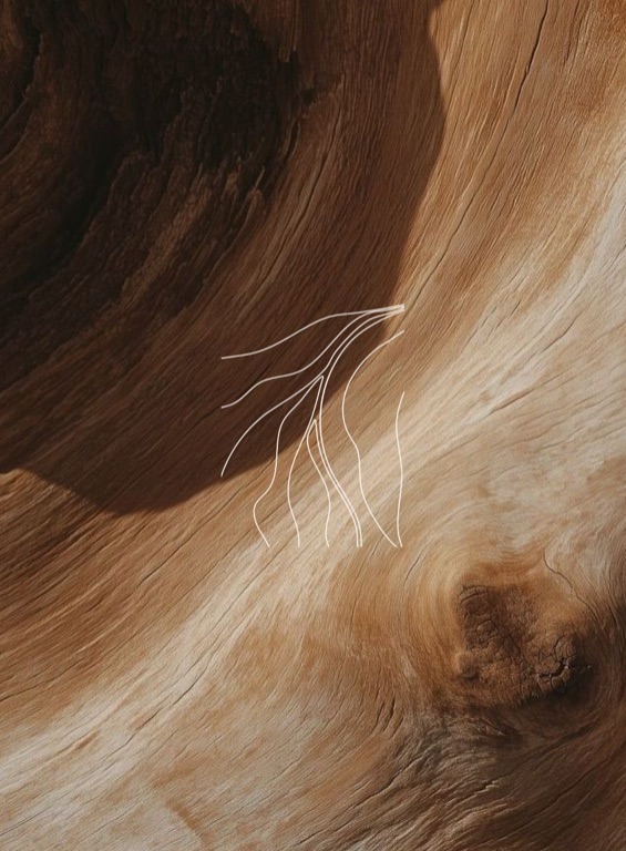 Close-up of river gum wood grain overlaid with the white Willowbank willow-branch brandmark